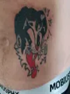 Tatouage chat qui chante hd art tattoo piercing Louhans, Chalon sur Saône, Chagny