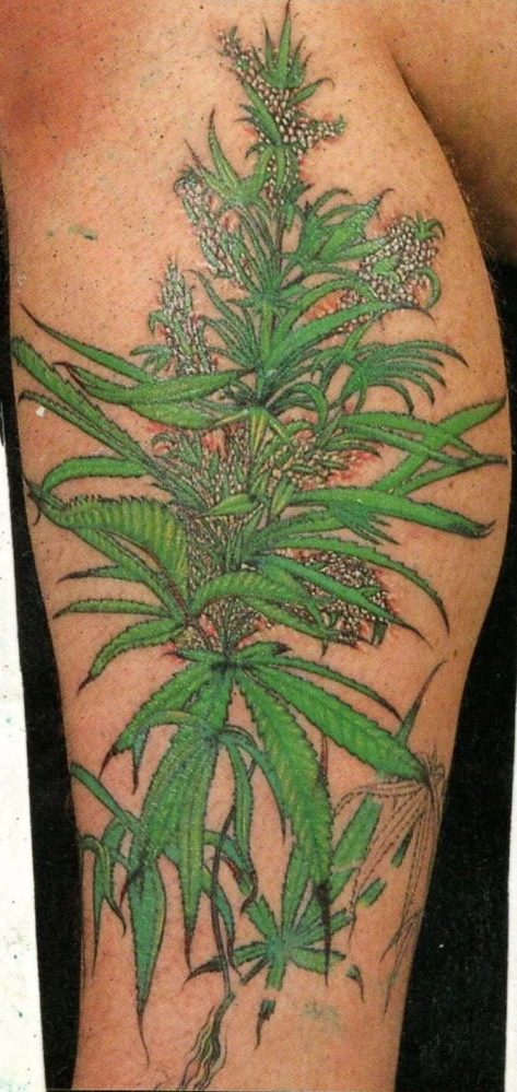 Tatouage plante
